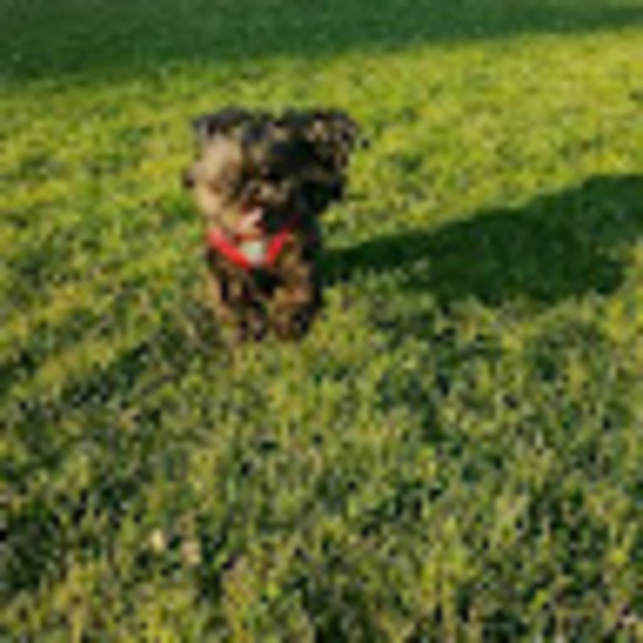 Meet your Posher, Katrina - Picture 1 of 1